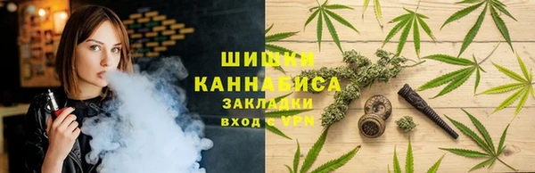 эйфоретик Аркадак