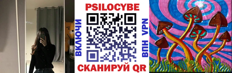 Галлюциногенные грибы Psilocybine cubensis  где купить   Полярный 